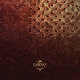 CASPIAN "Tertia" 2xLP